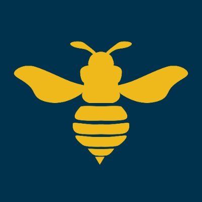 HIVE logo