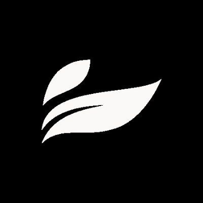 LEEF.CN logo